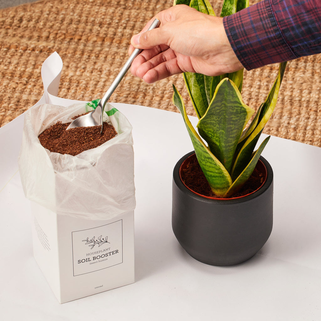 Soil Booster