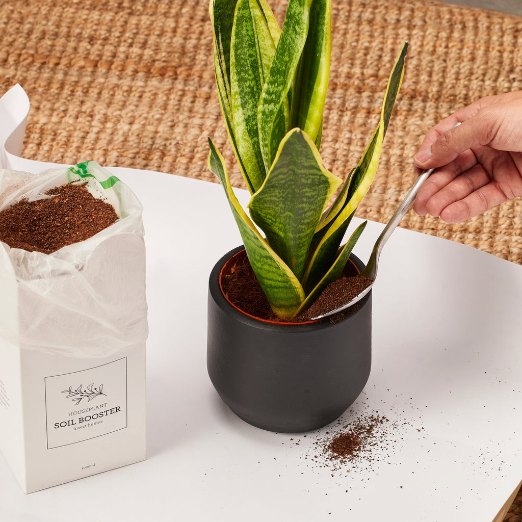Soil Booster